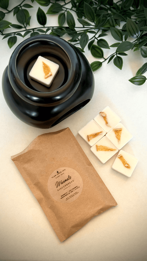 sojawas waxmelts gingerbread